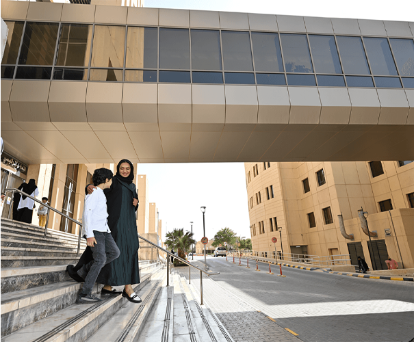 Launch innovative initiatives