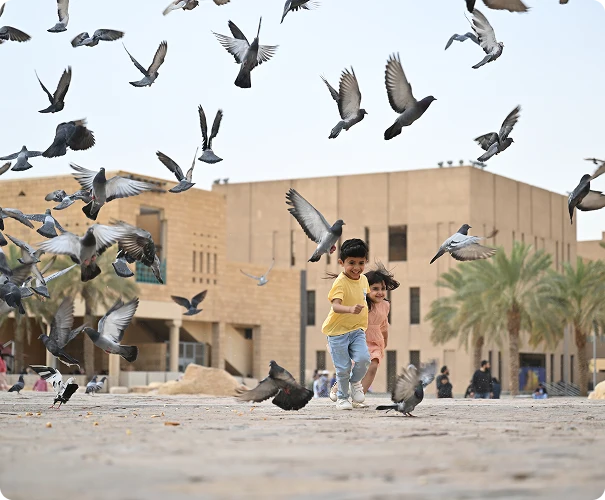 Launch innovative initiatives